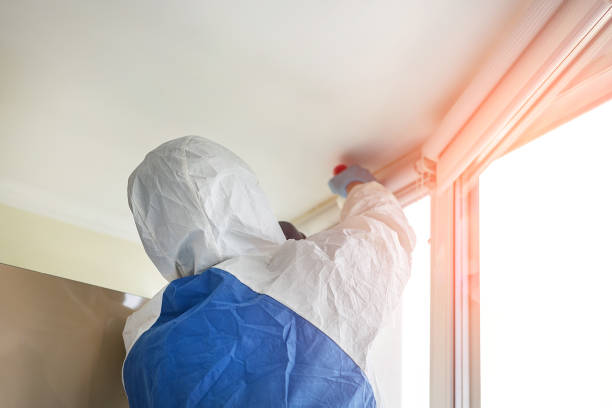 Best Asbestos and Lead Testing During Mold Inspection  in North Fond Du Lac, WI