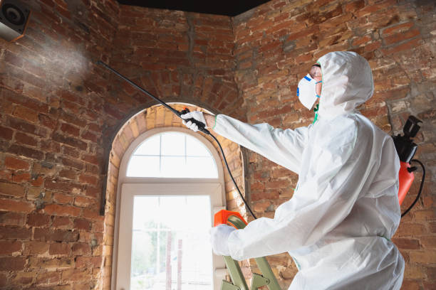 Best Industrial Mold Remediation  in North Fond Du Lac, WI