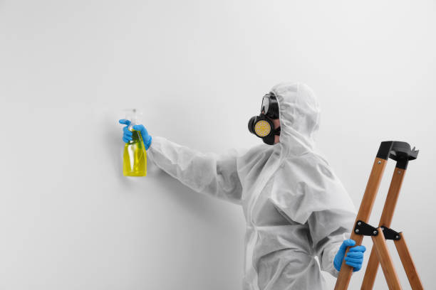 Best Mold Damage Restoration  in North Fond Du Lac, WI