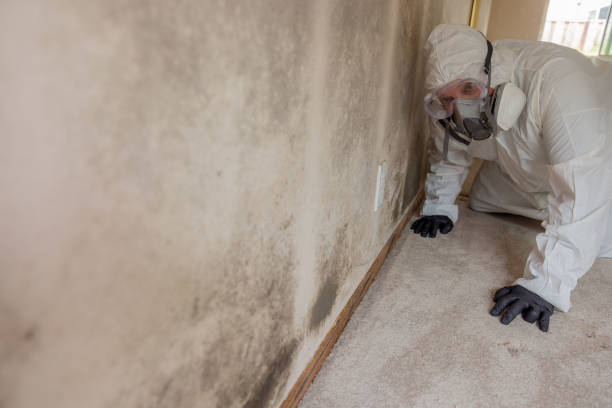 Best Commercial Mold Inspection  in North Fond Du Lac, WI